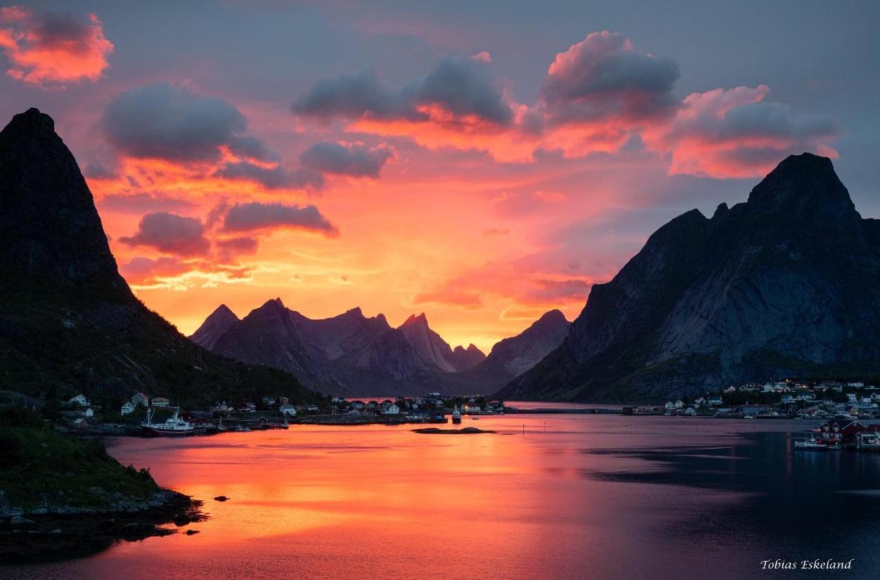 Willa Reinefjord Panorama Moskenes Zewnętrze zdjęcie