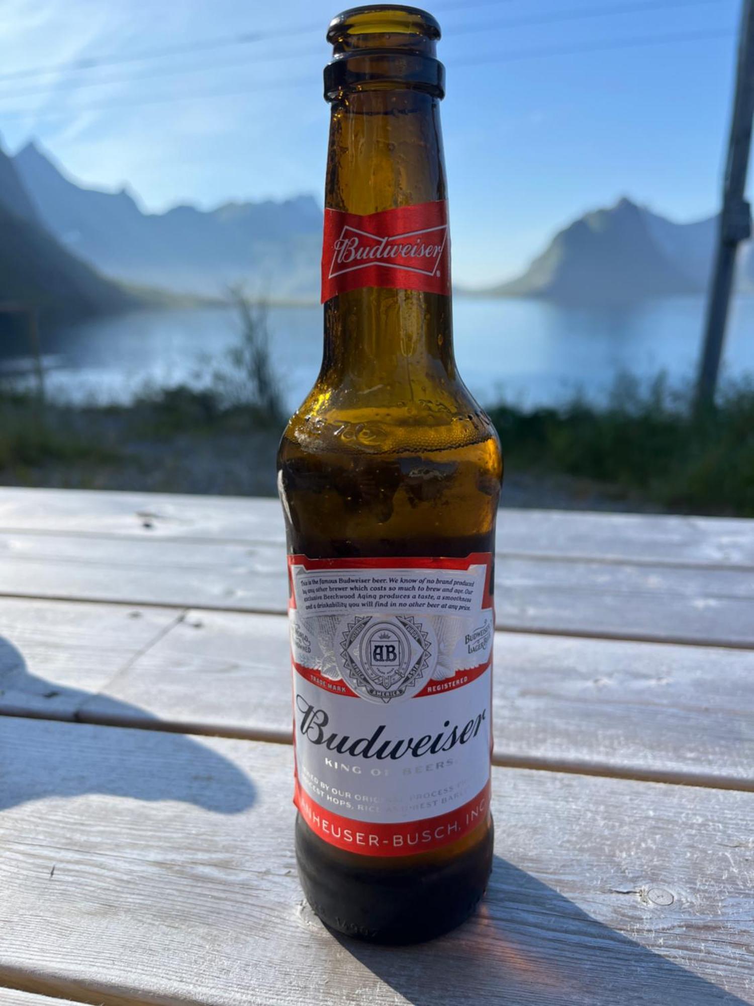 Willa Reinefjord Panorama Moskenes Zewnętrze zdjęcie